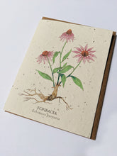 Load image into Gallery viewer, a plantable seed card - the card has a textured look from the seeds imbedded in the paper. There is a purple floral drawing on this one that says "Echinacea - Echinacea Purpurea"