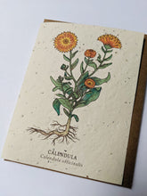 Load image into Gallery viewer, a plantable seed card - the card has a textured look from the seeds imbedded in the paper. There is a orange floral drawing on this one that says "Calendula - Calendula Officinalis"