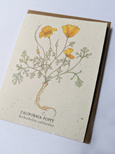 Load image into Gallery viewer, a plantable seed card - the card has a textured look from the seeds imbedded in the paper. There is a yellow floral drawing on this one that says "California Poppy - Eschscholzia Californica"