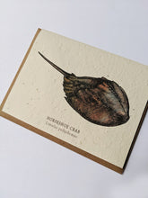 Load image into Gallery viewer, a plantable seed card - the card has a textured look from the seeds imbedded in the paper. There is a horseshoe crab drawing on this one that says "Horseshoe Crab - Limulus Polyphemus"