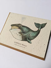 Load image into Gallery viewer, a plantable seed card - the card has a textured look from the seeds imbedded in the paper. There is a whale drawing on this one that says "Bowhead Whale - Balaena Mysticetus"