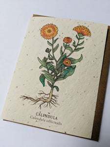 a plantable seed card - the card has a textured look from the seeds imbedded in the paper. There is a orange floral drawing on this one that says "Calendula - Calendula Officinalis"