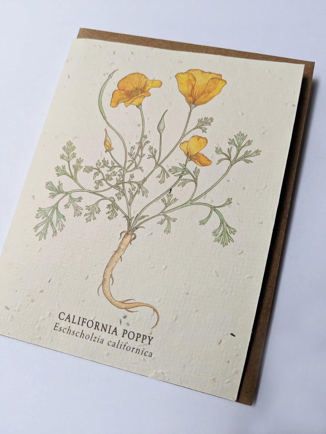 Floral (California Poppy) Plantable Wildflower Card