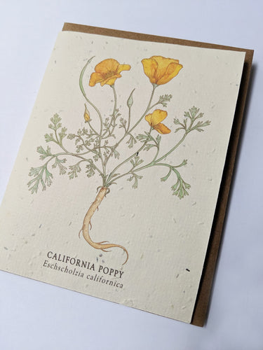 a plantable seed card - the card has a textured look from the seeds imbedded in the paper. There is a yellow floral drawing on this one that says 