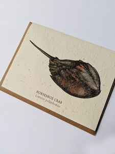 a plantable seed card - the card has a textured look from the seeds imbedded in the paper. There is a horseshoe crab drawing on this one that says "Horseshoe Crab - Limulus Polyphemus"
