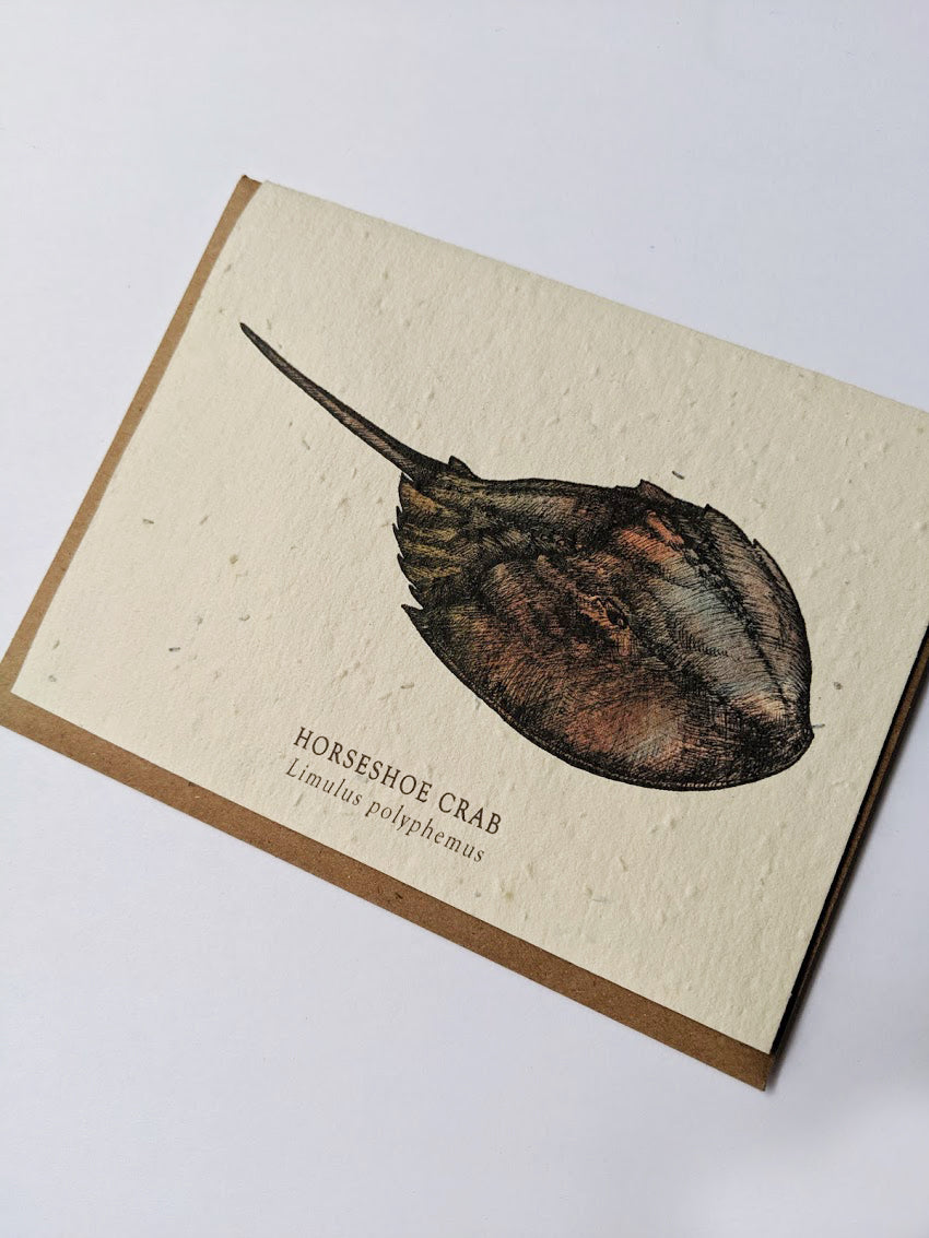 a plantable seed card - the card has a textured look from the seeds imbedded in the paper. There is a horseshoe crab drawing on this one that says 