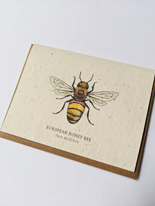 a plantable seed card - the card has a textured look from the seeds imbedded in the paper. There is a bee drawing on this one that says "European Honey Bee - Apis Mellifera"