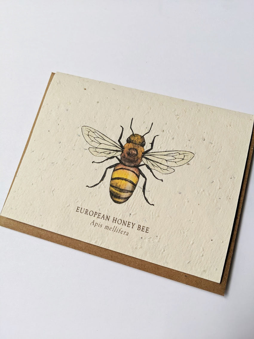 a plantable seed card - the card has a textured look from the seeds imbedded in the paper. There is a bee drawing on this one that says 