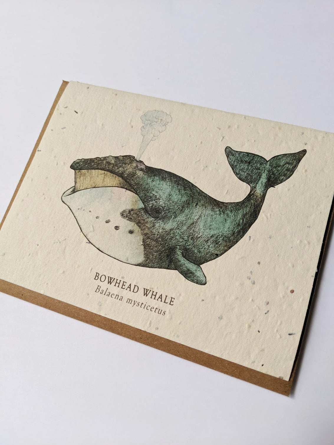 a plantable seed card - the card has a textured look from the seeds imbedded in the paper. There is a whale drawing on this one that says 