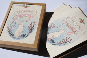 a box set of the "Season's Greetings" bunny card - set of 8