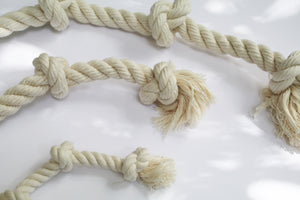 a close up look at the dog ropes made of organic cotton