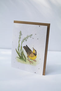 a card with seeds imbedded in the paper to plant and a watercolor of a yellow bird on the front