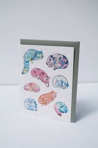 a card with seeds imbedded in the paper to plant and watercolor multicolor cats on the front