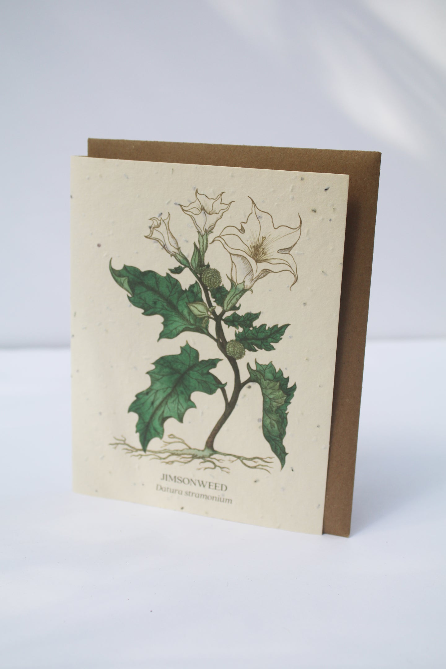 a card with seeds imbedded in the paper to plant with a watercolor white flower on the front