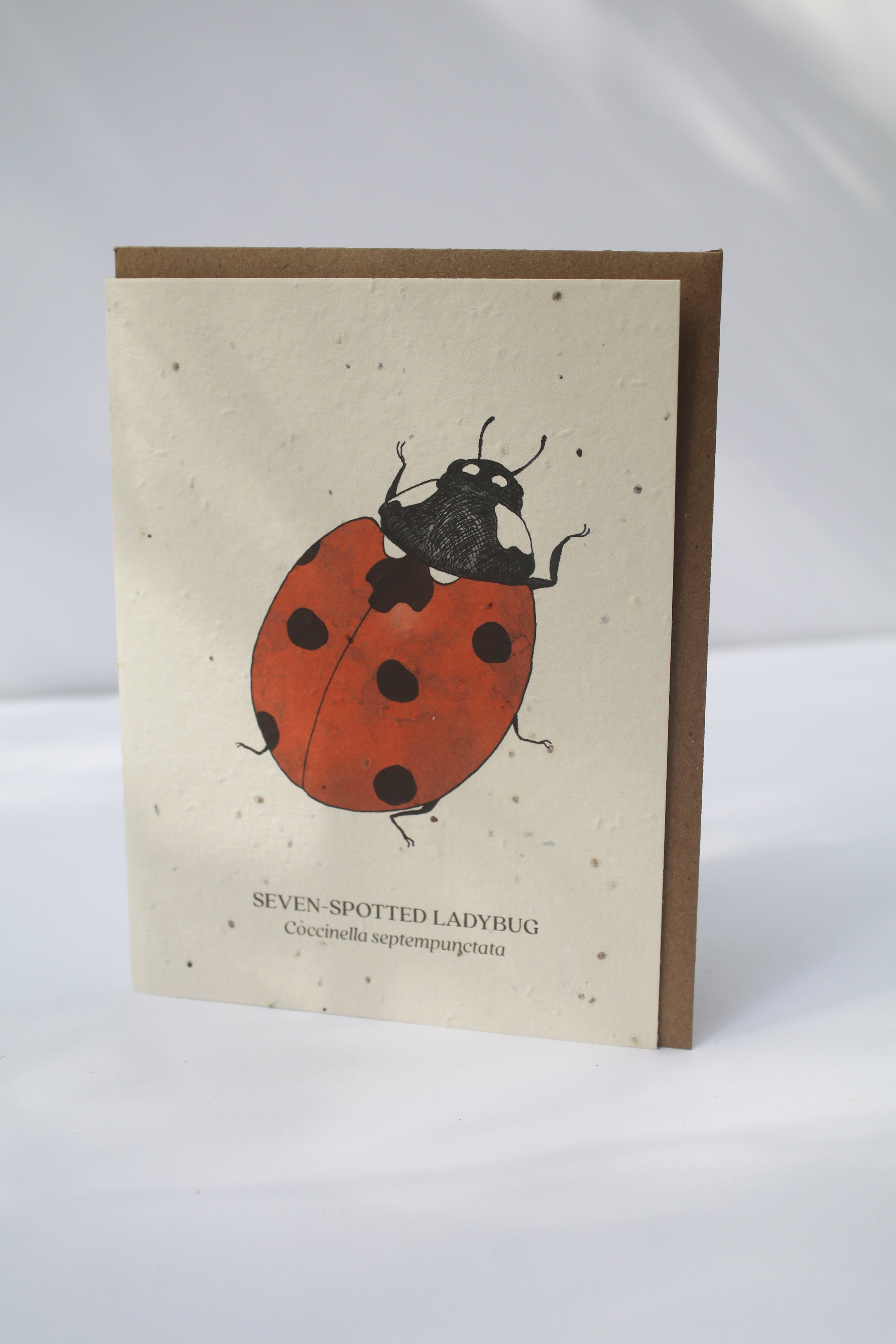 Ladybug Plantable Wildflower Card
