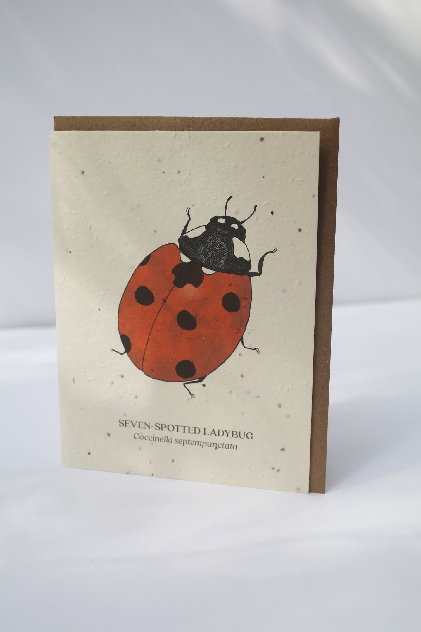 a card with seeds imbedded in the paper to plant and a watercolor of a ladybug on the front