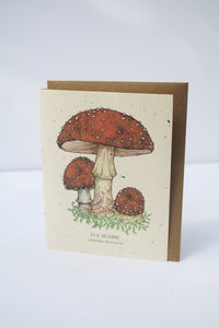 a card with seeds imbedded in the paper to plant and a watercolor mushroom on the front