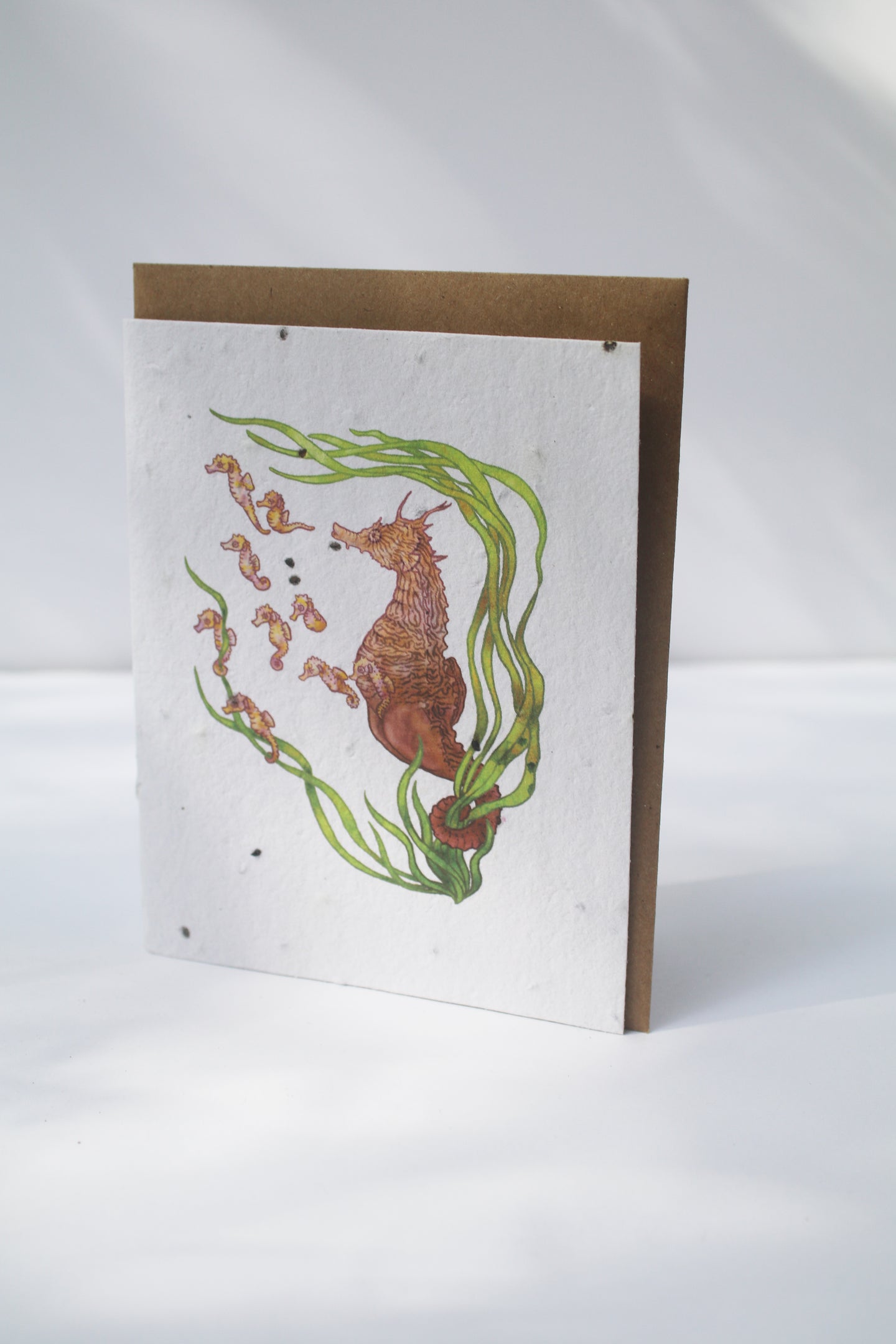 a card with seeds imbedded in the paper and watercolor seahorses on the front