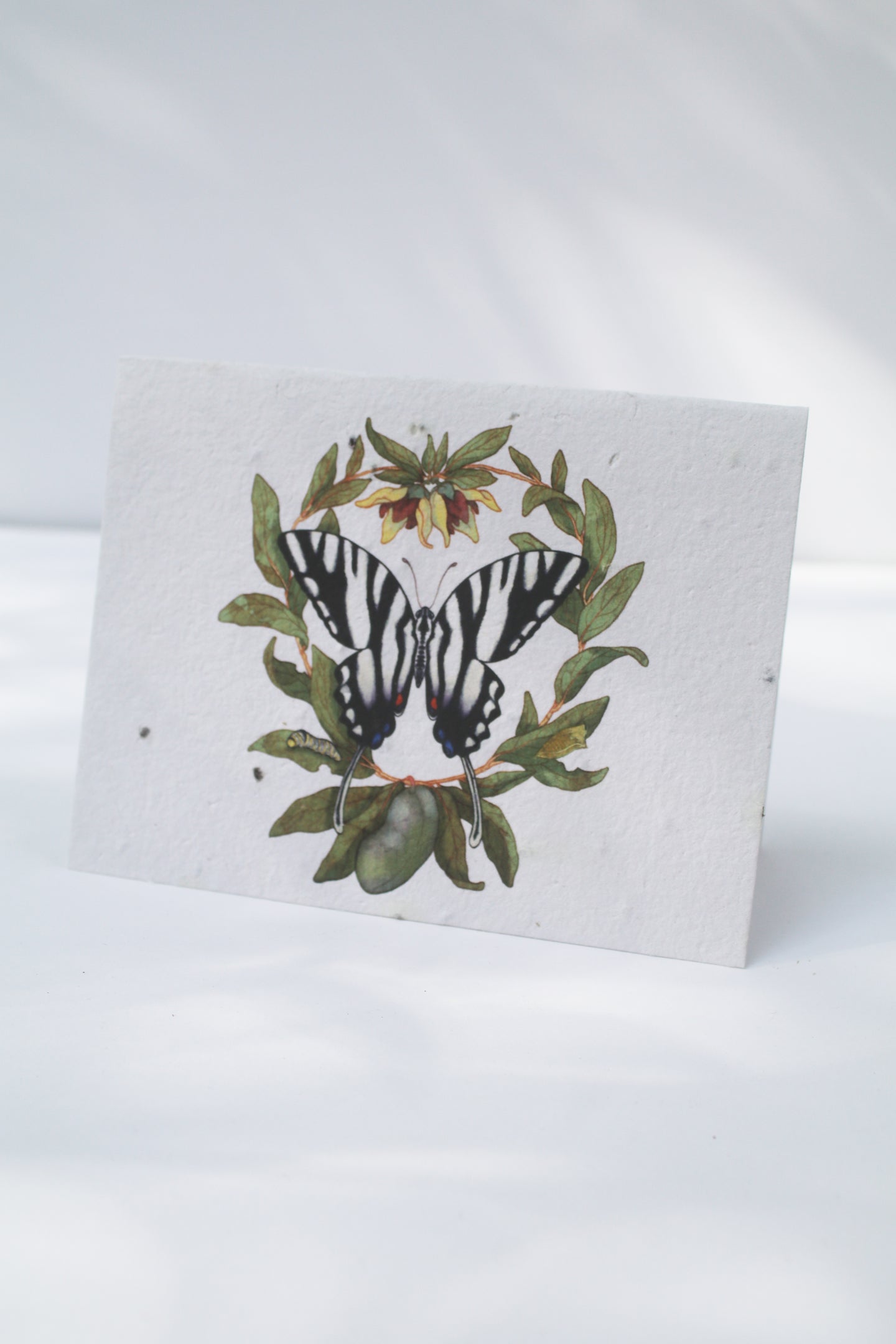a plantable seed card with a zebra stripped butterfly watercolor drawing on the front of the card